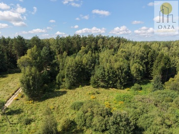 Działka Sprzedaż Cerkiewnik